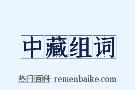 中藏组词是什么意思的图片